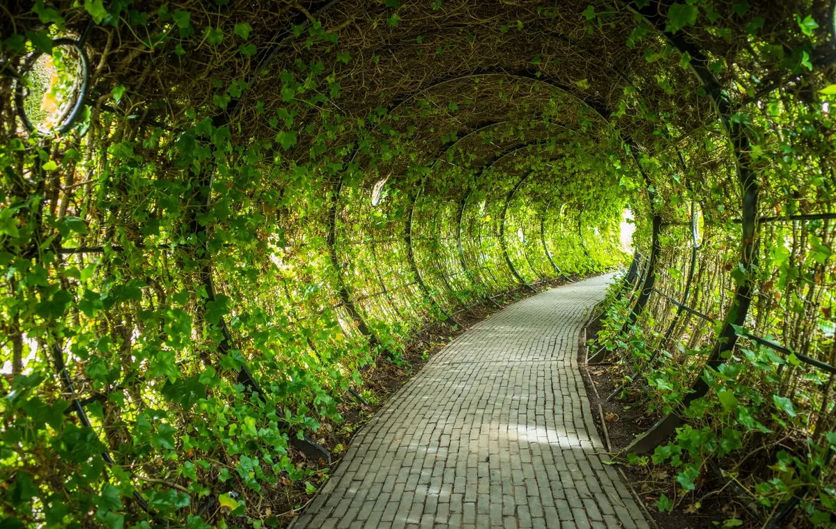 Jardinet secret et passage voûté dans un arrondissement parisien